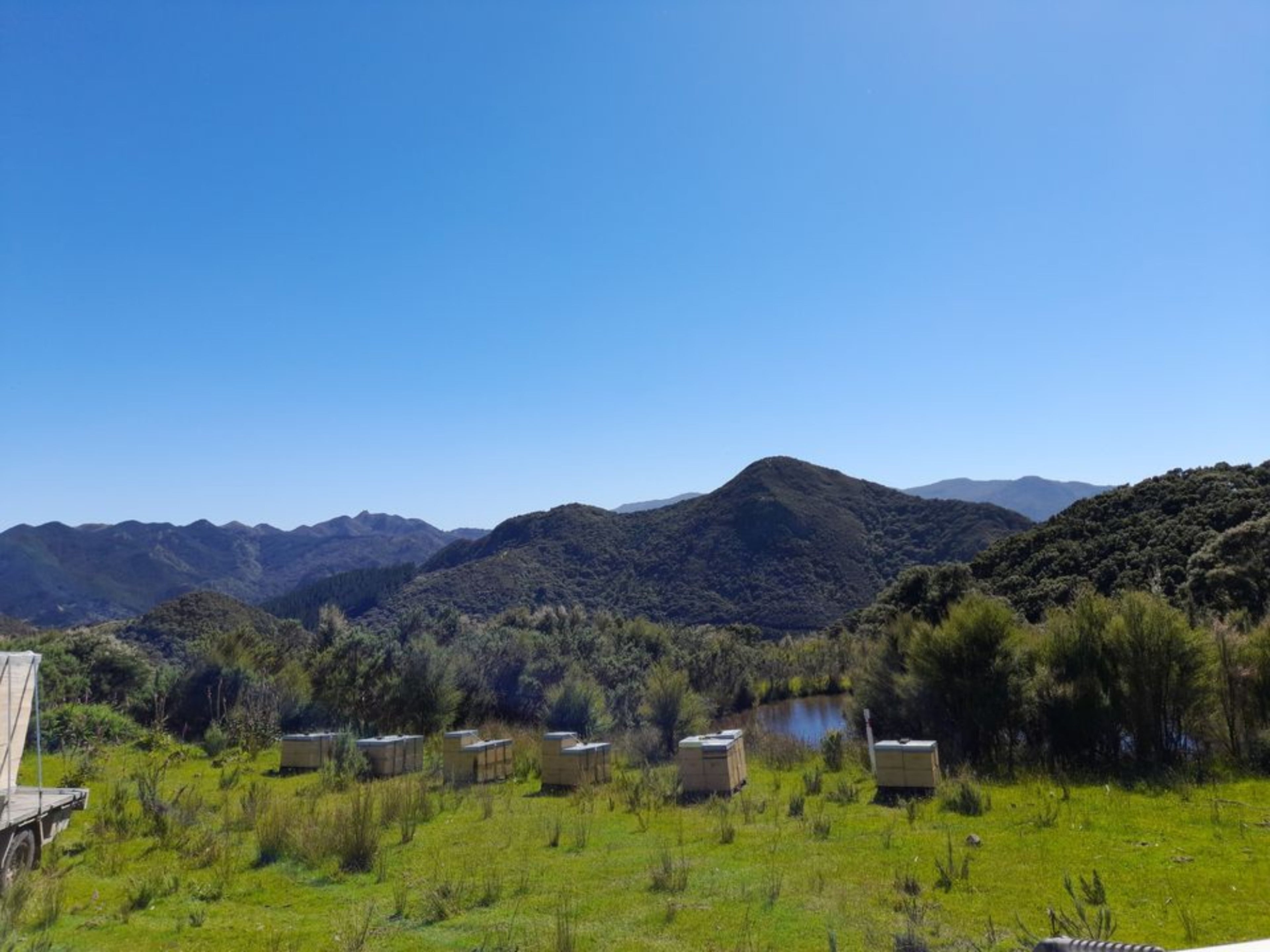 Remote hills in New Zealand