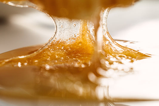 Raw Dripping New Zealand Honey from Manuka Hunters
