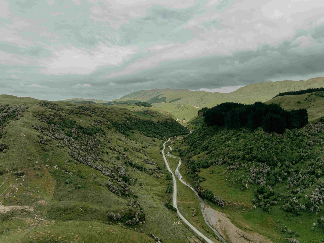 remote back-country rolling hills in NZ manuka honey plant territory