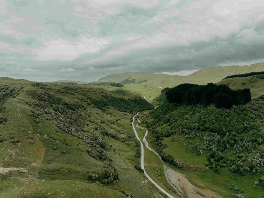 remote back-country rolling hills in NZ manuka honey plant territory