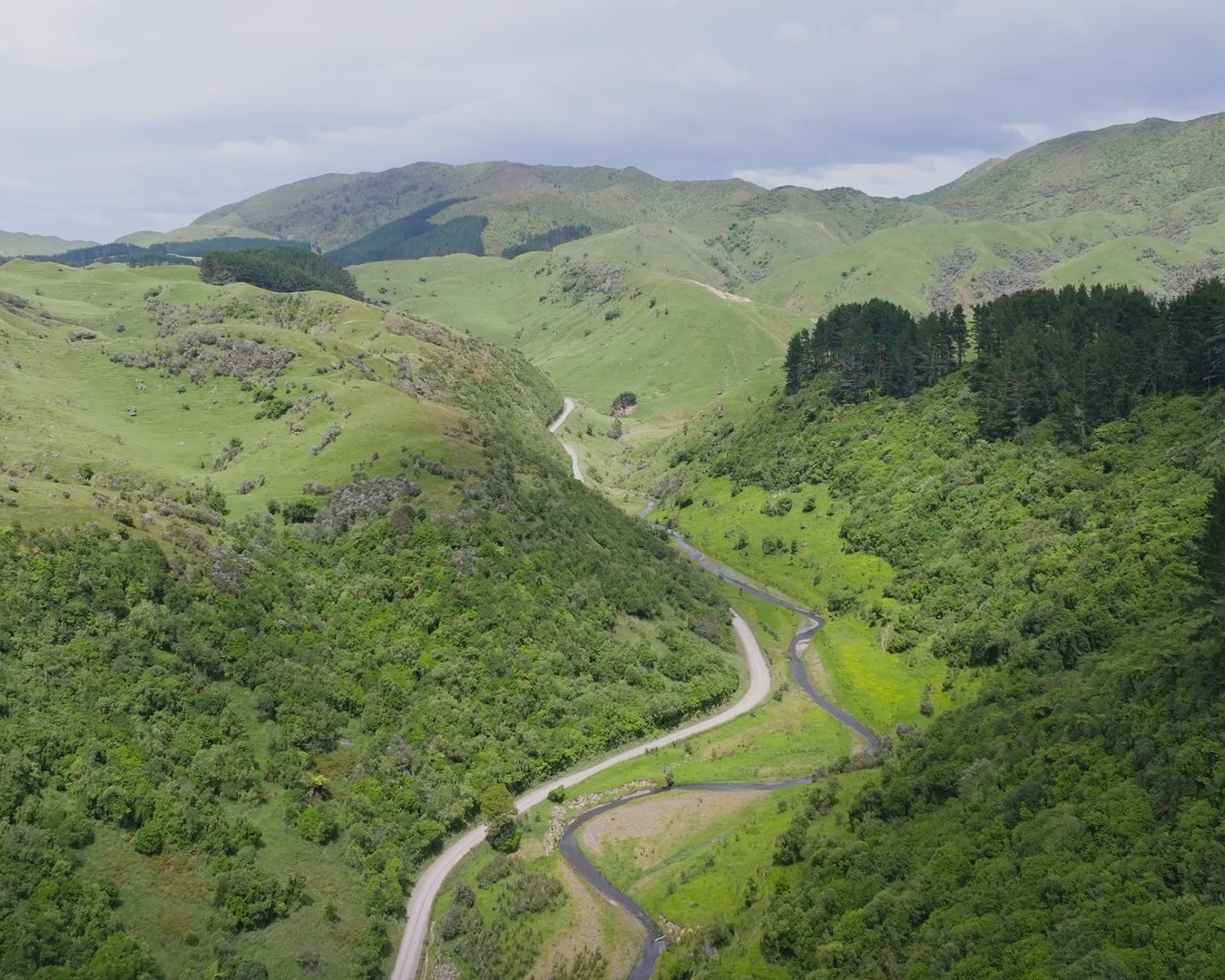 Load video: Manuka Honey UMF